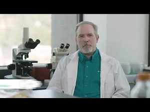 Take a Look Inside the Nation's Most Advanced Allergen Testing Laboratory