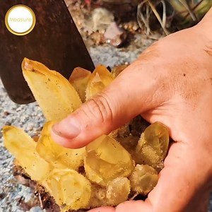 9.6M views · 57K reactions | Adventure, gems are hidden in spider holes | Treasure | Facebook