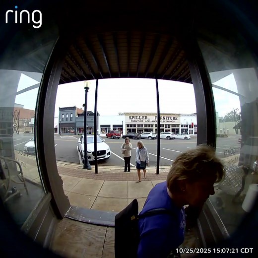 Mockingbird on main on Reels