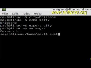 How to export environment variable in Linux