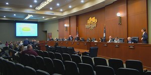 Horry County Council makes ‘Lake Busbee Connector’ a priority, awards beach franchises