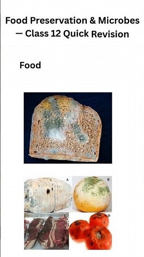 Food Preservation & Microbes Explained in 60 Seconds | Class 12 Biology Quick Revision