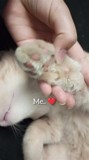 what's your best therapy ❤ #trendingshorts #viralshorts #viralaudio #shorts #viral #trending #life