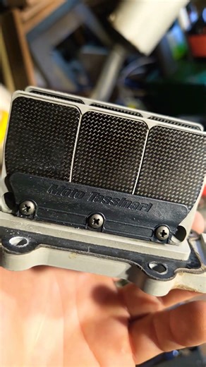 rate my vforce reeds