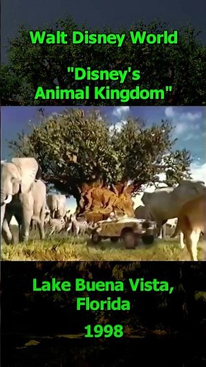 Disney's Animal Kingdom's ORIGINAL Commercial