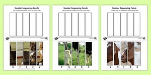 Farm Animals Number Sequencing Photo Puzzles