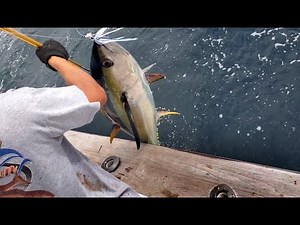 Outer Banks Epic Tuna Trip 2020 with Trophy Hunter Sportfishing