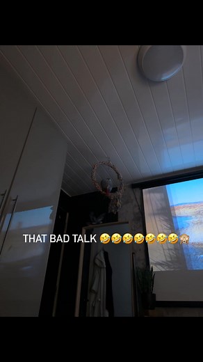 What kind of talk is that kelo 🤣🤣🤣🤣 | Kelo the African Grey