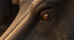 Meet Estemmenosuchus: The Prehistoric Rhino with Alien Horns! 憐...