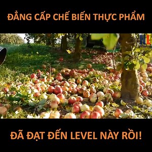 1.8M views · 7.6K reactions | Cùng chiêm ngưỡng quy trình vận hành...