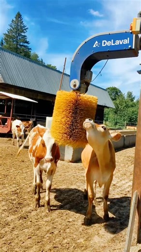 This Isn't a Car Wash