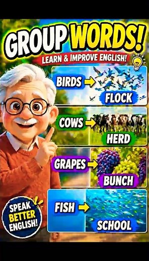 Learn Flock, Herd, Bunch & School | Group Names for Animals & Things | Kids Learning #shorts