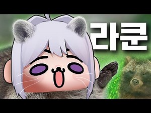 너굴맨 아니고 라쿤 - 아무위키