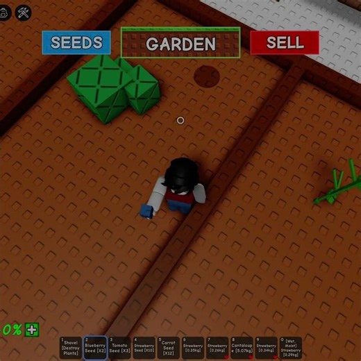 PLANT BLUEBERRIES 🍇 → COME BACK LATER 🌱 | GROW A GARDEN | TNO_RBX