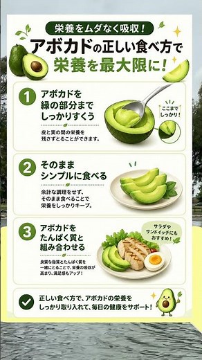 【栄養活用】栄養を最大限に！アボカドの正しい食べ方3選