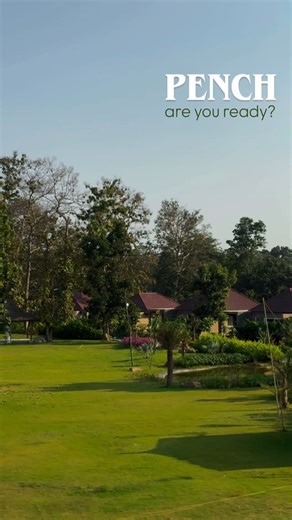 Name Revealing Soon - Pench on Instagram: "Are you ready? Cuz we are almost 🧿😍 . . . #pench #penchnationalpark #nagpurireels❤️ #junglelife #junglesafari #riversideresort #jungleresort #newresort #viralreels #camping #nagpur #wildlife #traveller #riversideview #tigersafari"