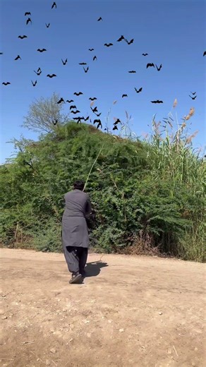 Wild nature never sleeps – the hu begins! 🦅🔥 2. Survival of the fittest in the wild jungle.