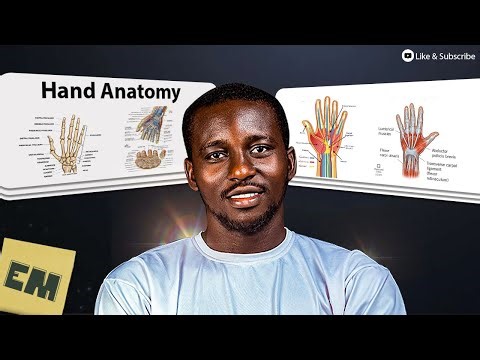 HAND ANATOMY #handanatomy | Made Easy | #medicalstudent | #anatomy