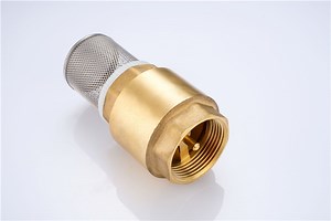 [Hot Item] Bsp Thread Brass Foot Valve Vertical Check Valve with Plastic Core with Filter