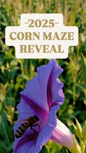 21K views · 137 reactions | ✨ GET LOST IN FUN ✨ It’s finally here!...