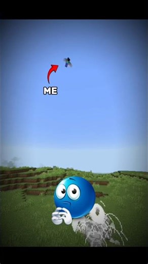 Minecraft Elytra Launcher