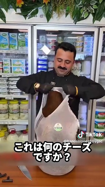 17種類のチーズを徹底紹介