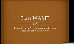 How to start WAMP Server
