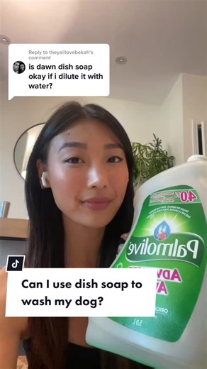 Can I Use Dish Soap to Wash My Dog?