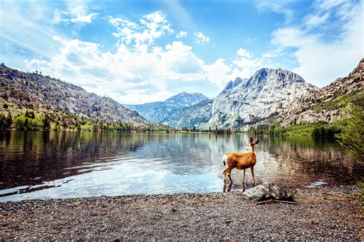 The little Switzerland of California is the most underrated but scenic small town on the West Coast