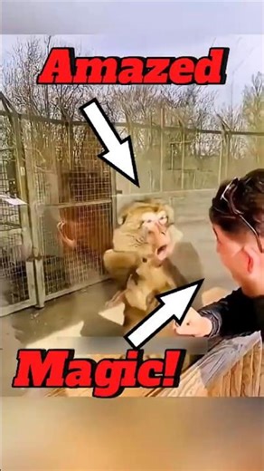 Monkey Sees Magic… But the Chimp’s Reaction Is Everything! 😂