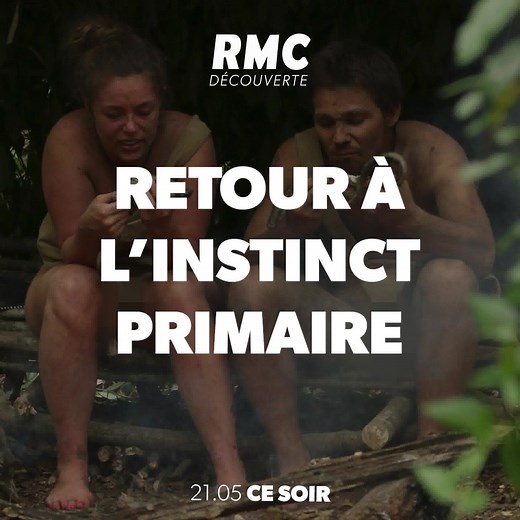 🌴 Dans les marécages du Mississipi, Gabrielle et Brian doivent faire face à un essaim de moustiques et à de dangereux prédateurs. Ils devront également affronter un orage qui leur semble interminable 📺 Retour à l'instinct primaire, inédit ce soir à 21h05 sur RMC Découverte | RMC Découverte