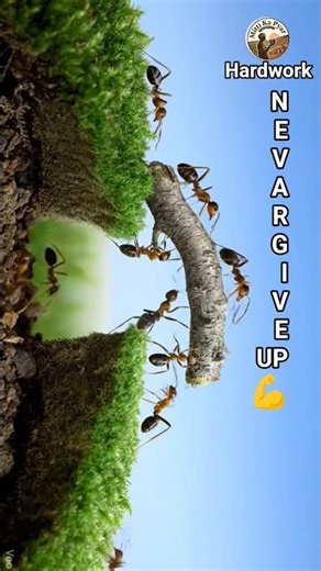 mai harunga nahi #motivation #motivational #viral #ytshorts #sad #viral #trending