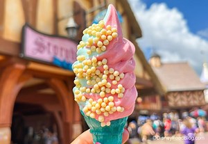 If You Order This NEW Magic Kingdom Snack, Good Luck — You're Gonna Need It. | the disney food blog