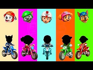 📹 Wrong eyes👀 PAW Patrol Christmas NEW EPISODES Compilation! Ryder DAME TU COSITA Wrong Heads