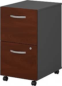 Bush Business Furniture Series C 2 Drawer Rolling File Cabinet in Hansen Cherry - Assembled, Mobile Document Storage for Home or Professional Office