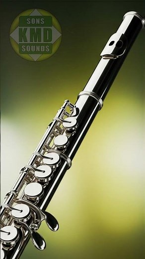 SOM DE PICCOLO 🎶 SONS DE INSTRUMENTOS MUSICAIS – os melhores efeitos sonoros