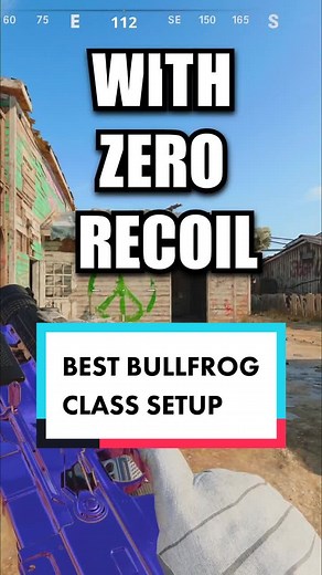 Ultimate Bullfrog Class Setup for Cold War and Warzone