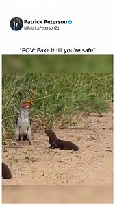A funny survival trick | Patrick Peterson