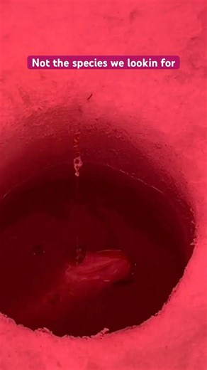 First fish through the ice in new pop up shack#icefishing #fun