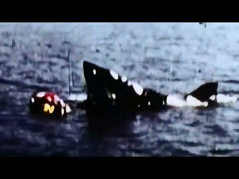 Alex Kintner's death test footage, JAWS