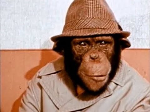 Lancelot Link Secret Chimp