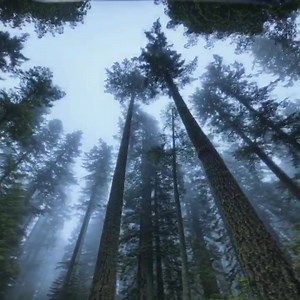 Steven and Cary Stayner: The tale of two brothers' horror and heroism. Watch our lates 20/20 2-hour documentary event special - stream on your favorite device now: https://bit.ly/2Tevenq #ABC2020 #EvilInEden | ABC 20/20