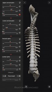 A video demonstrating the dynamic movement of axial rotation of the spine, followed by an anterior cross-sectional view. It was recorded directly in the Biomechanics of the Spine app, providing a clear and accurate visualization of spinal mechanics in motion. Get the Biomechanics of the Spine app from the link in the bio! #anatomystandard #biomechanics #spine #cervical #thoracic #lunbar #sacrum #anatomy | Anatomy Standard