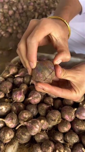 817 #源头直供 紫皮独头大蒜，肉质细腻，香甜细腻，好吃不贵，你值得拥有！ #独头蒜 #三农