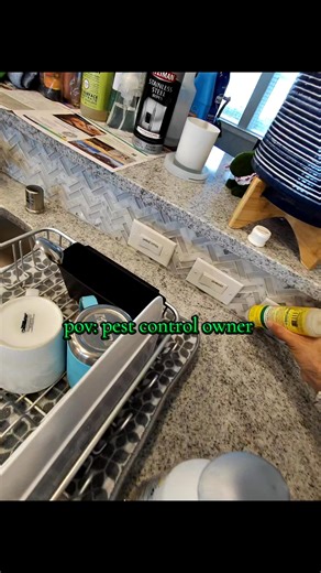 If you live in the Houston area, stop doing our own pest control and hire me instead! 832-430-0963 ☎️ #pestcontrol #houston #texas #spider #businessowner | Fresh Fields Pest Control & Pet Waste Removal