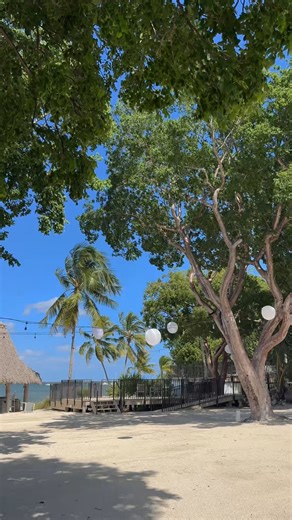 11 reactions · 3 comments | Key Largo Lighthouse Destination Weddings on Reels | Facebook