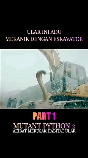 This snake has a mechanical battle with an excavator #shorts