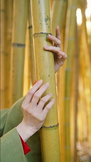 Kyoto Japan Highlights | Temples, Bamboo Forest & Food