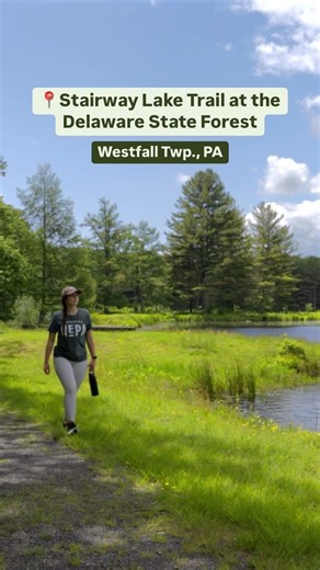 4K views · 113 reactions | We headed to the Delaware State Forest for a hike on the 2.8-mile Stairway Lake Trail in Westfall Township! Thank you to our friends at the Pennsylvania Department of Conservation and Natural Resources for the opportunity to capture the gorgeous scenery we encountered along the out-and-back journey.  #DiscoverNEPA | DiscoverNEPA | Facebook
