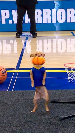 Scooby throws down 2 slams including a 360 THROWDOWN at the Warriors game! 💥 Christian Stoinev | NBA